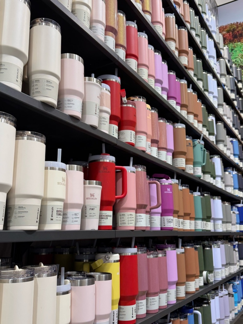 Assorted Stainless Tumblers in Soft Neutrals and Bold Hues